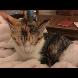 Meet your Posher, Annette